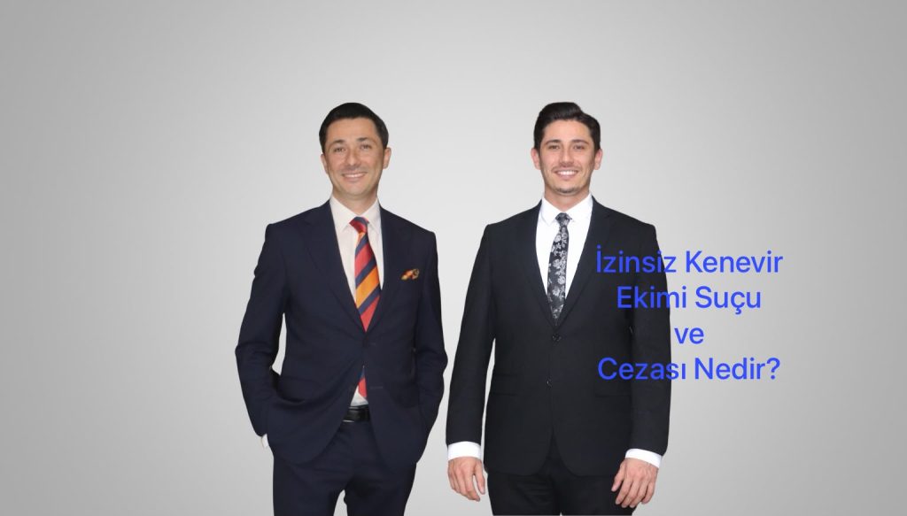 İzinsiz Kenevir Ekimi Suçu ve Cezası Nedir?